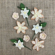 49&Market Flowers - Stargazers - CASHMERE